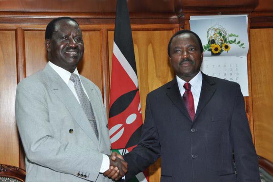 ODM principle Raila Odinga and Kalonzo Musyoka - net worth, education, foundation, and history in politics