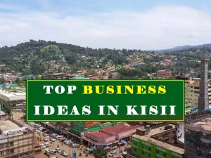 Top 10 Business ideas in Kisii Town and profitable investment opportunities