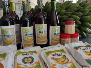 7 Facts about Nyangorora Banana Processors at KIRDI near the Kisii Agricultural Training Centre