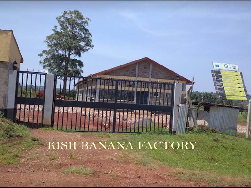 Kisii Banana Factory launched near ATC at Ksh. 170 million