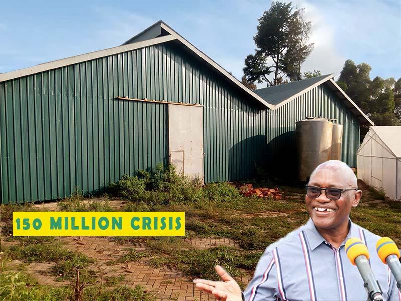 150 Million Kisii Avocado Factory closed since 2013