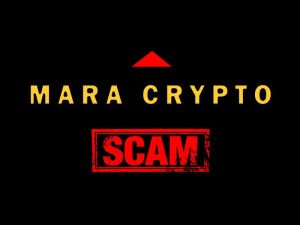Read more about the article Mara Pyramid Scam! A successor of Public Likes and Gameas.org, Ponzi-style businesses in Kenya