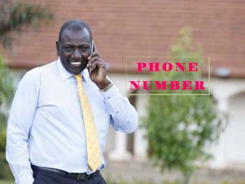 William Ruto Contacts: Phone Number, Telephone, Addresses, & Appointment with Deputy President