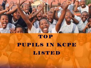 Top Pupils in KCPE 2022: Best students, points, primary school results, & remarks by CS Machogu