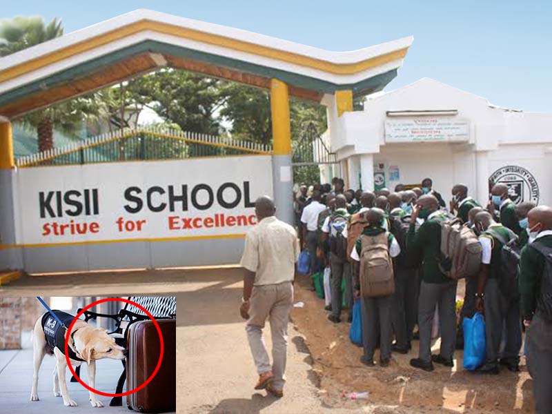 Kisii High School Bhang Drama with Police Sniffer Dogs