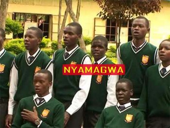 Nyamagwa Boys KCSE Results 2022: Performance Analysis, Mean Score, KUUCPS Ranking, and Contacts
