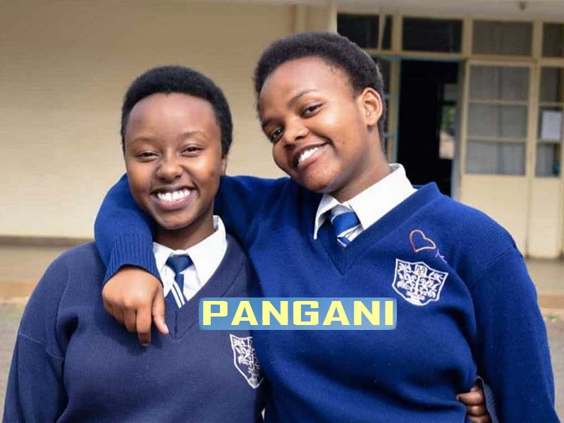 Pangani Girls KCSE Results & KUCCPS Performance Analysis