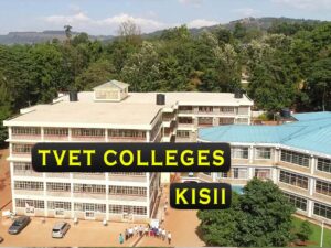 Full List of Best TVET Colleges in Kisii County Polytechnics, Vocational & Technical Training Institutes
