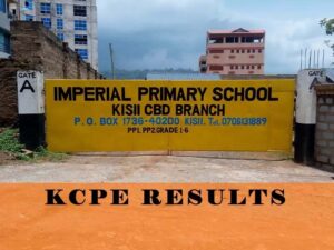 Imperial Primary KCPE Results 2022: Mean Grade, Performance Analysis, & Ranking in Kisii County