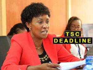 TSC Recruitment Application Login Portal & Deadline