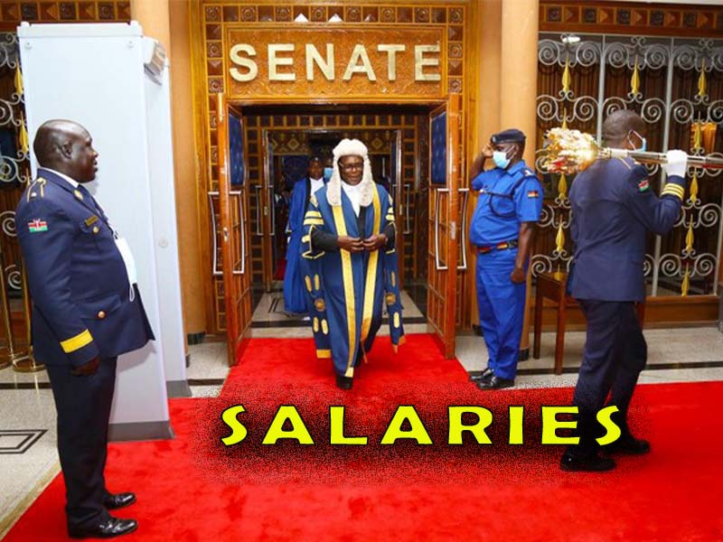 Monthly Salaries of Senators in Kenya List of Allowances