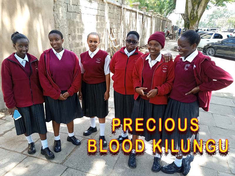 Precious Blood Kilungu KCSE results - Mean Grade & Performance Analysis