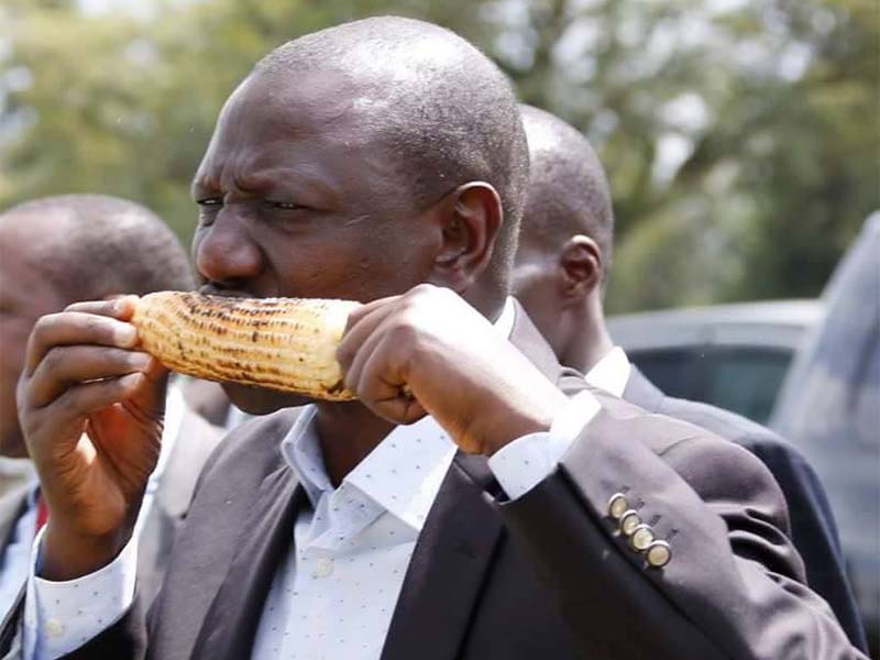 Unga Prices in Kenya following directive by President William Ruto