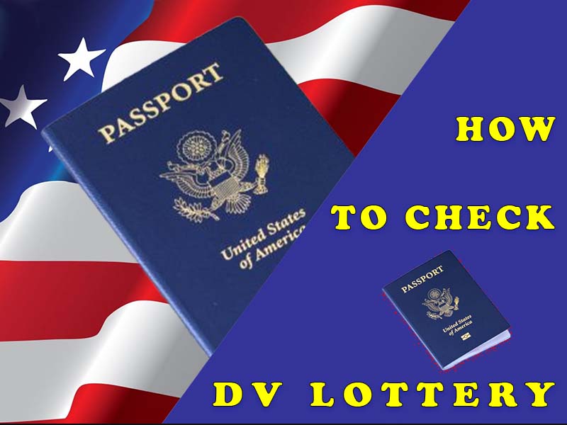 How to check DV Lottery Status 2024 using confirmation number