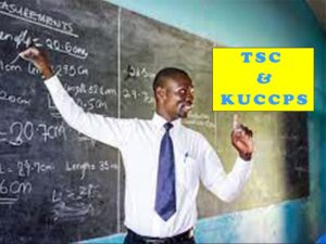 New TSC Entry Requirements in KUCCPS Application: Education Arts, Science, Special Needs & IT