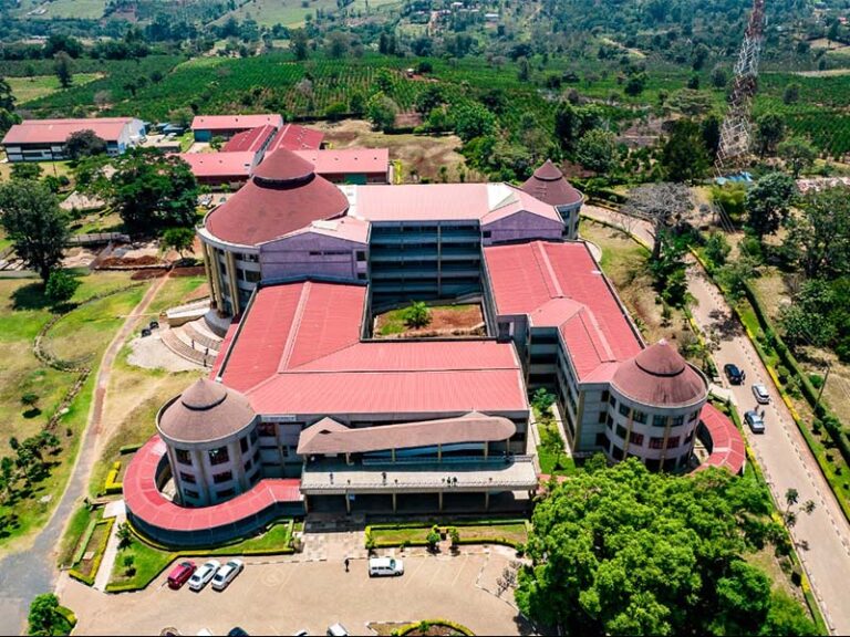 History of Dedan Kimathi University
