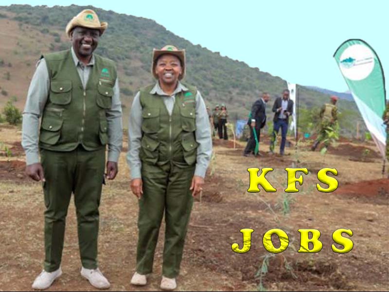 Kenya Forest Service Jobs Application Guide, Qualifications, Requirements, Links, and deadline