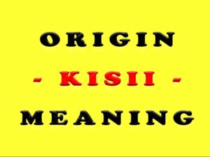 Kisii Meaning & Name Origin How Mwanyagetinge Community Was Renamed by British Colonial Masters