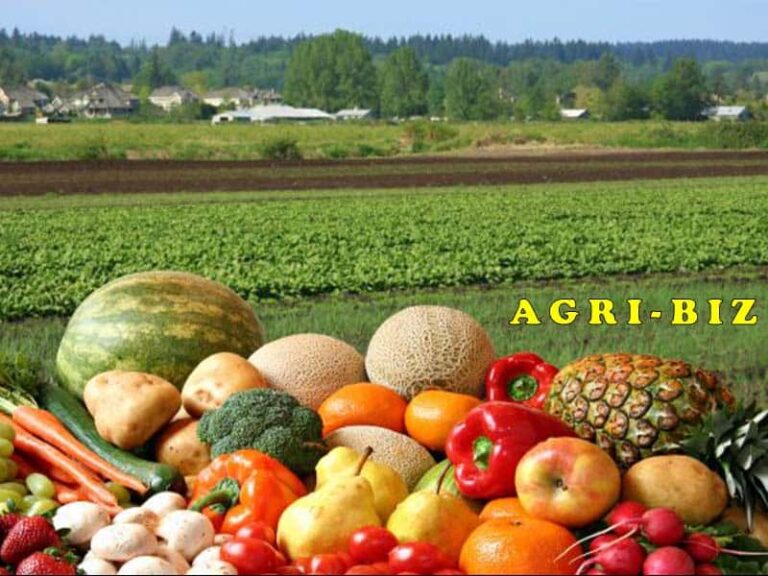Most Profitable Agribusiness Ideas in Kenya
