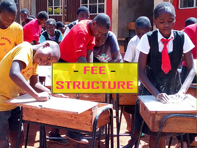 Elimu Academy Fee Structure
