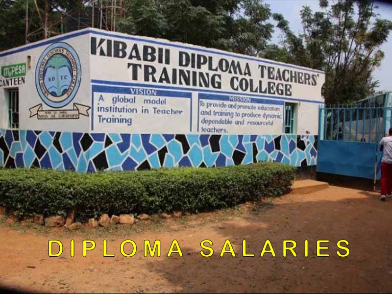 How much do diploma teachers earn? Salary Range for Public and Private Educators in