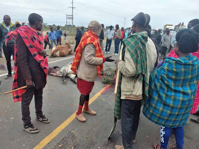 You are currently viewing Hundreds Left Stranded in Suswa after Maa Cultural Festival Elders Blocked Narok-Mai Mahiu Road