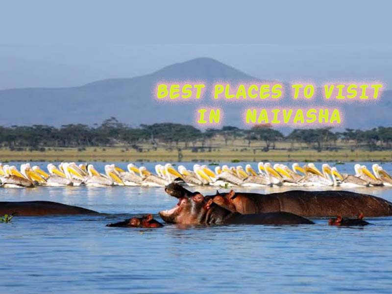 List of Best Places to Visit in Naivasha