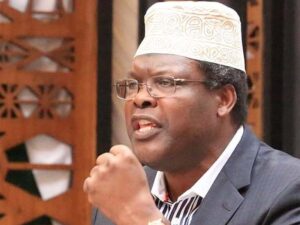 Profile facts in Miguna Miguna biography