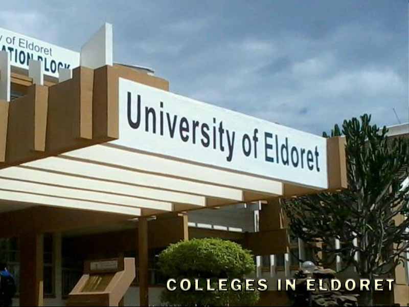 Best Universities and Colleges in Eldoret