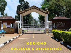 Best Universities and Colleges in Kericho County: Kabianga, Kenya Highlands and KMTC Kericho