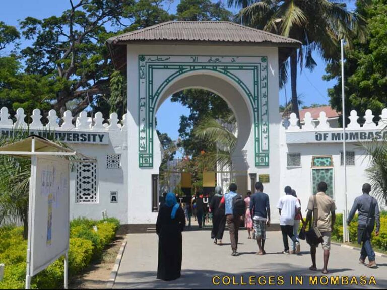Best Universities and Colleges in Mombasa
