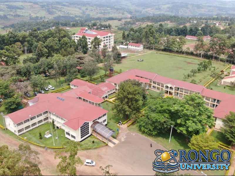 History of Rongo University