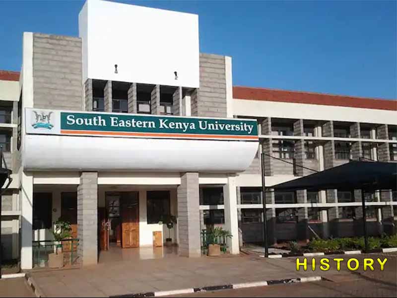 You are currently viewing History of South Eastern Kenya University Since 2008: SEKU Enrolment, Vision & List of Campuses