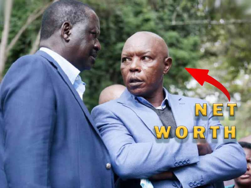 Maina Njenga Net Worth