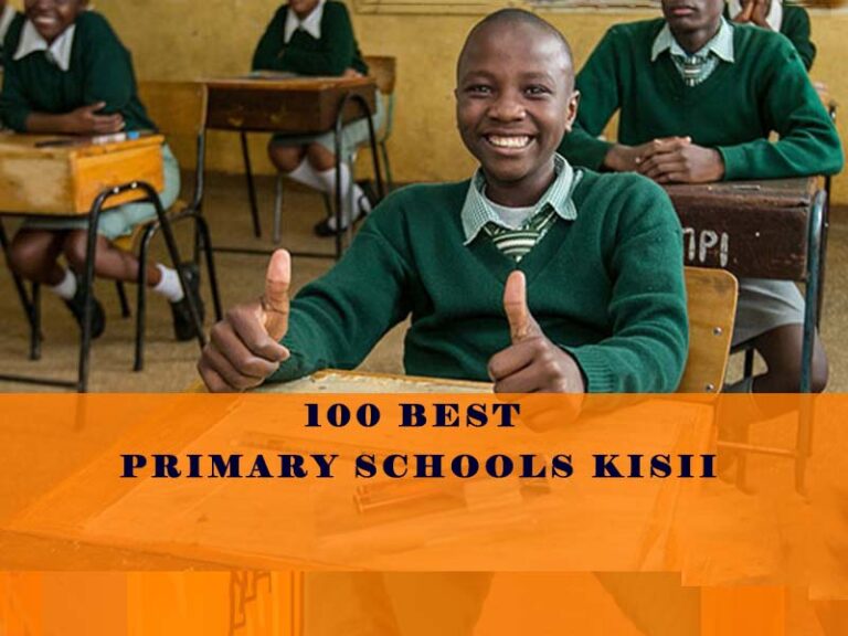 Best Primary Schools in Kisii County