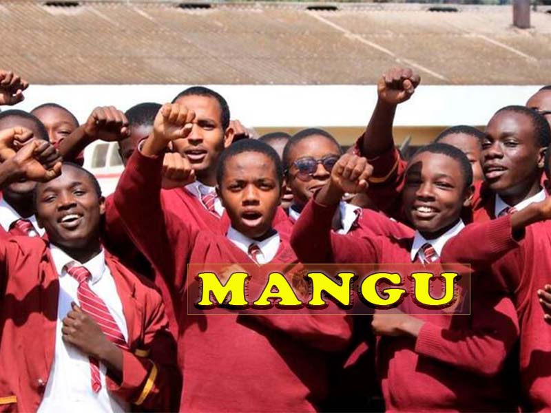 Mangu High School KCSE Results