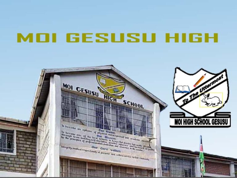 Moi Gesusu High School KCSE Results