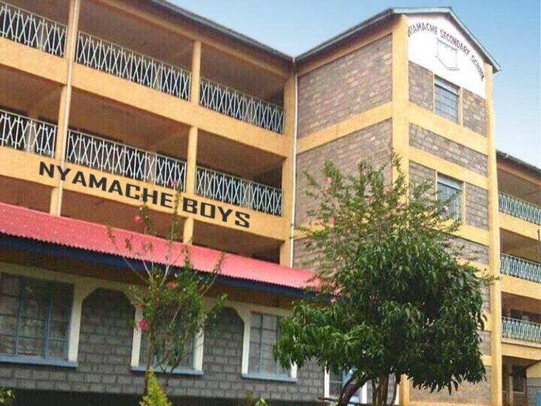 Nyamache Boys High School KCSE Results