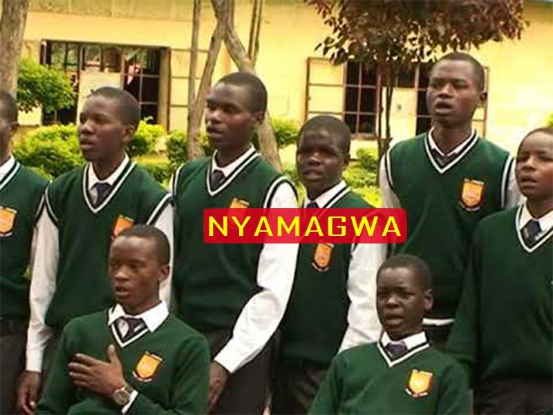 Nyamagwa Boys KCSE Results