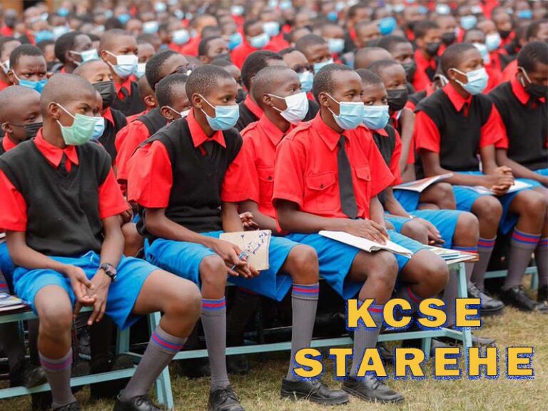 Starehe Boys KCSE Results