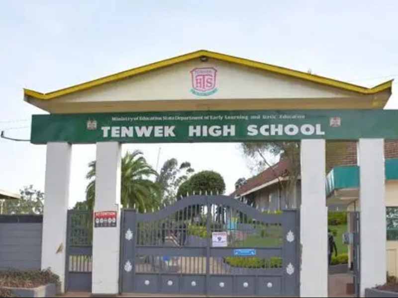 You are currently viewing Tenwek High School KCSE Results 2024: KNEC Performance Analysis, Mean Grade, & Contacts