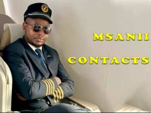 Msanii Music Group Contacts