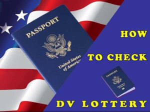 How to Check DV Lottery Status