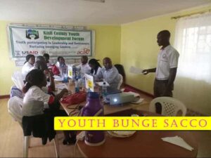 List of Youth Bunge Saccos