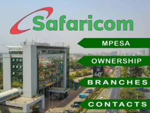 Safaricom MPesa Ownership History