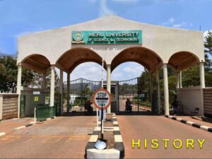 History of Meru University