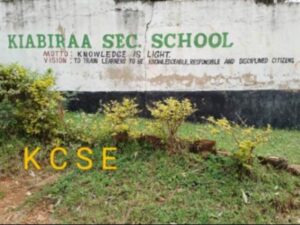 Kiabiraa Secondary School KCSE Results