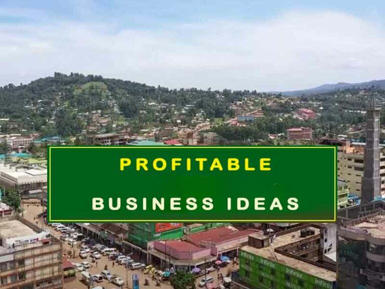 Profitable Business Ideas